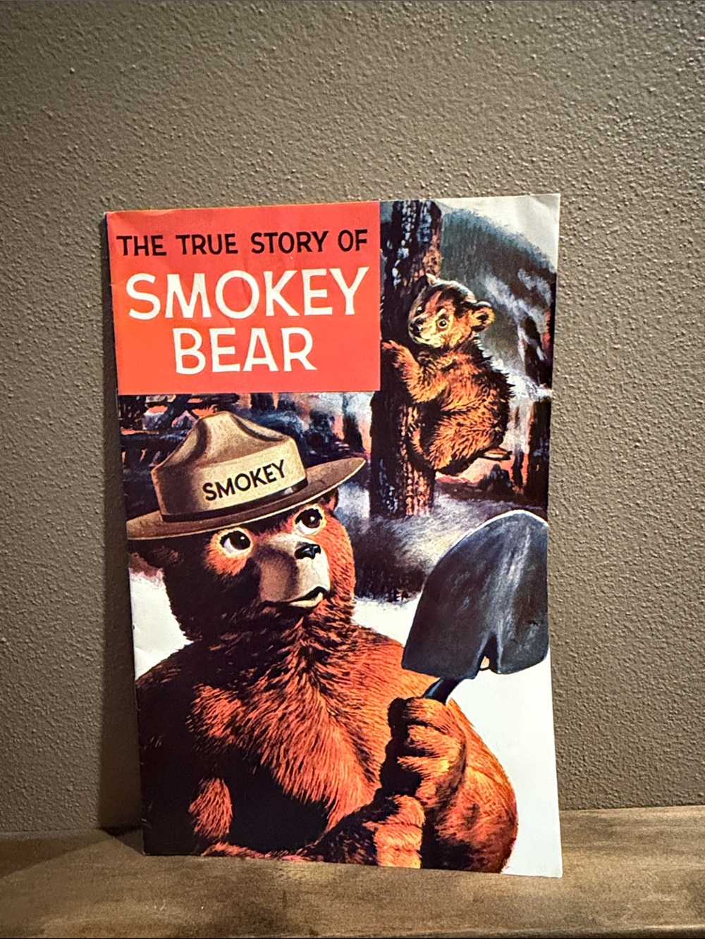 The True Story Of Smokey Bear Comic Book Vintage Original 1969 and Extras - Picture 5 of 7